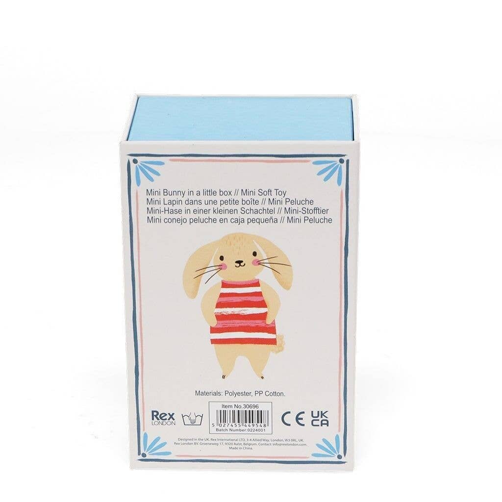 Mini Bunny In A Little Box
