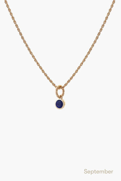 Birthstone Necklace in Gold - black flamingo store