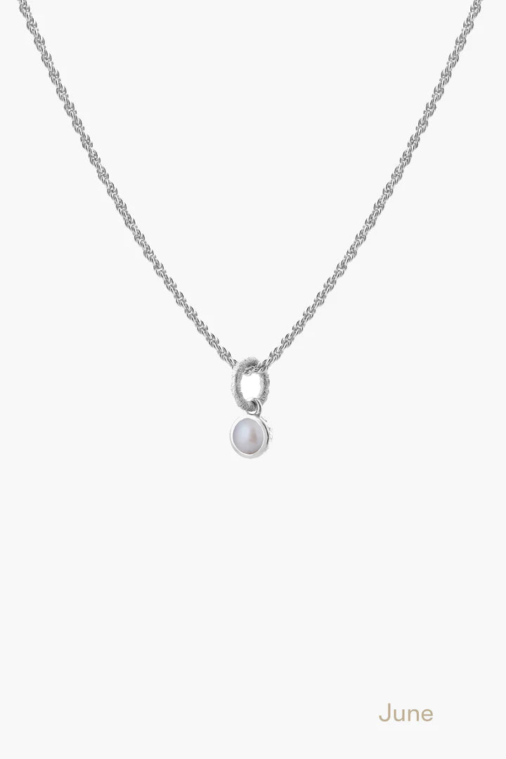 Birthstone Necklace in Silver-black flamingo store