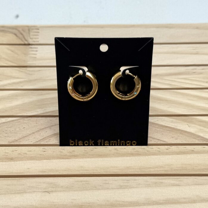 Black Flamingo - Rainbow Hoops