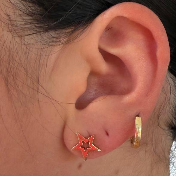 Black Flamingo- Star Stud