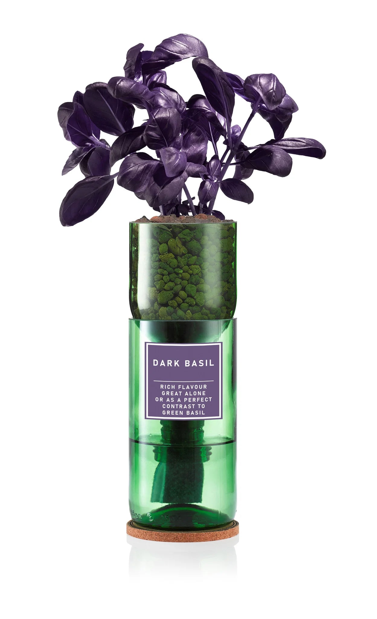 Hydro Herb Kits - Dark Basil - Purple