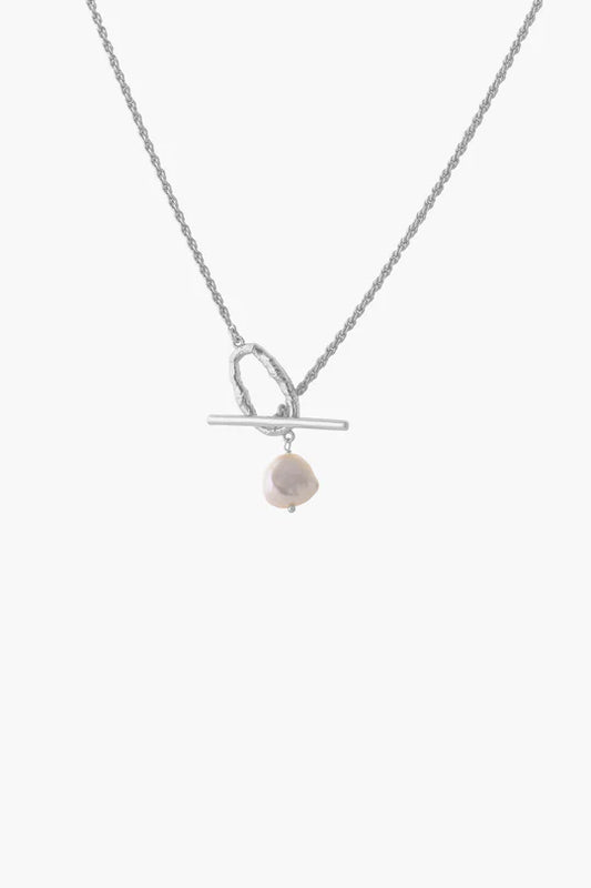 Clarity Necklace in Silver-black flamingo store