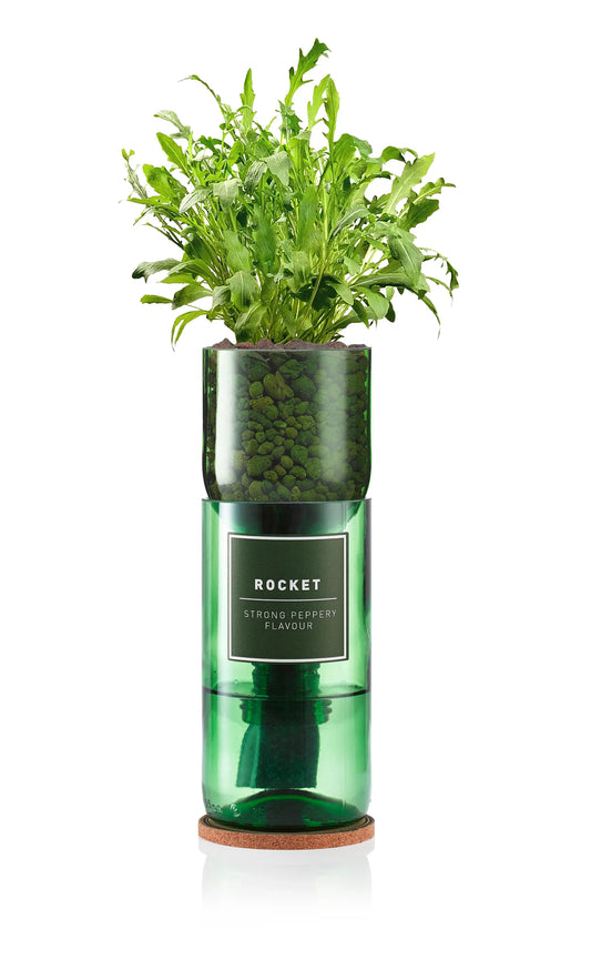Hydro Herb Kits - Rocket