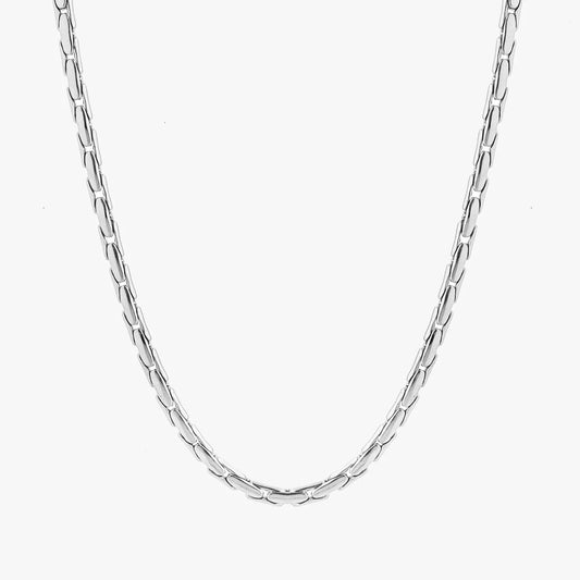 Silver chain necklace on a white background